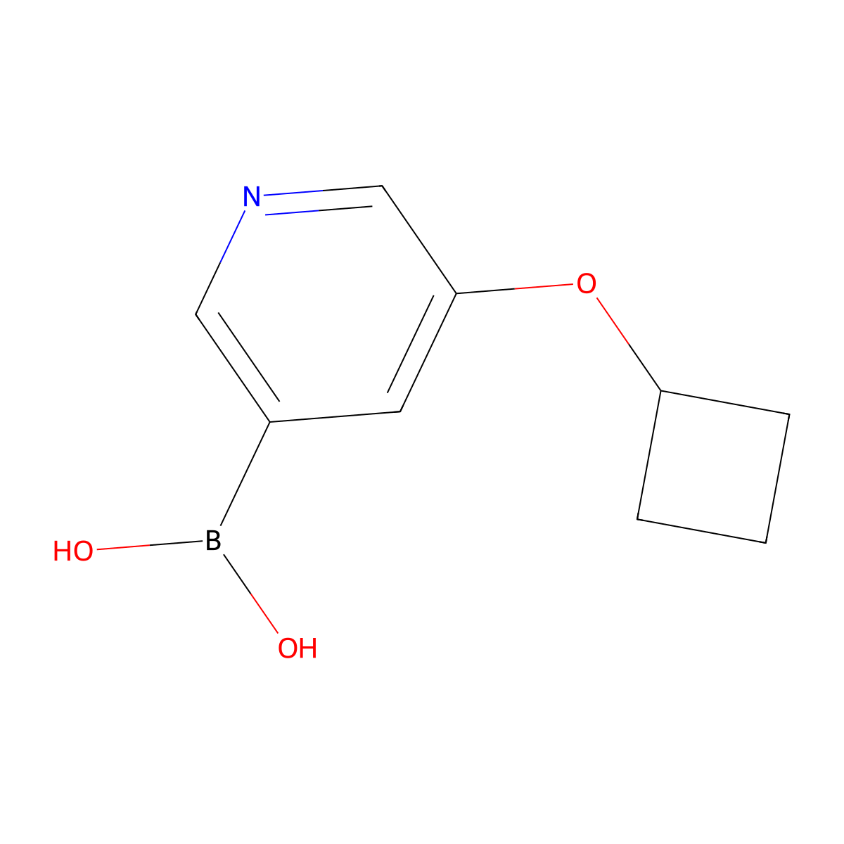 (5-Cyclobutoxypyridin-3-yl)boronic acid molecular structure, CAS 2225173-16-8