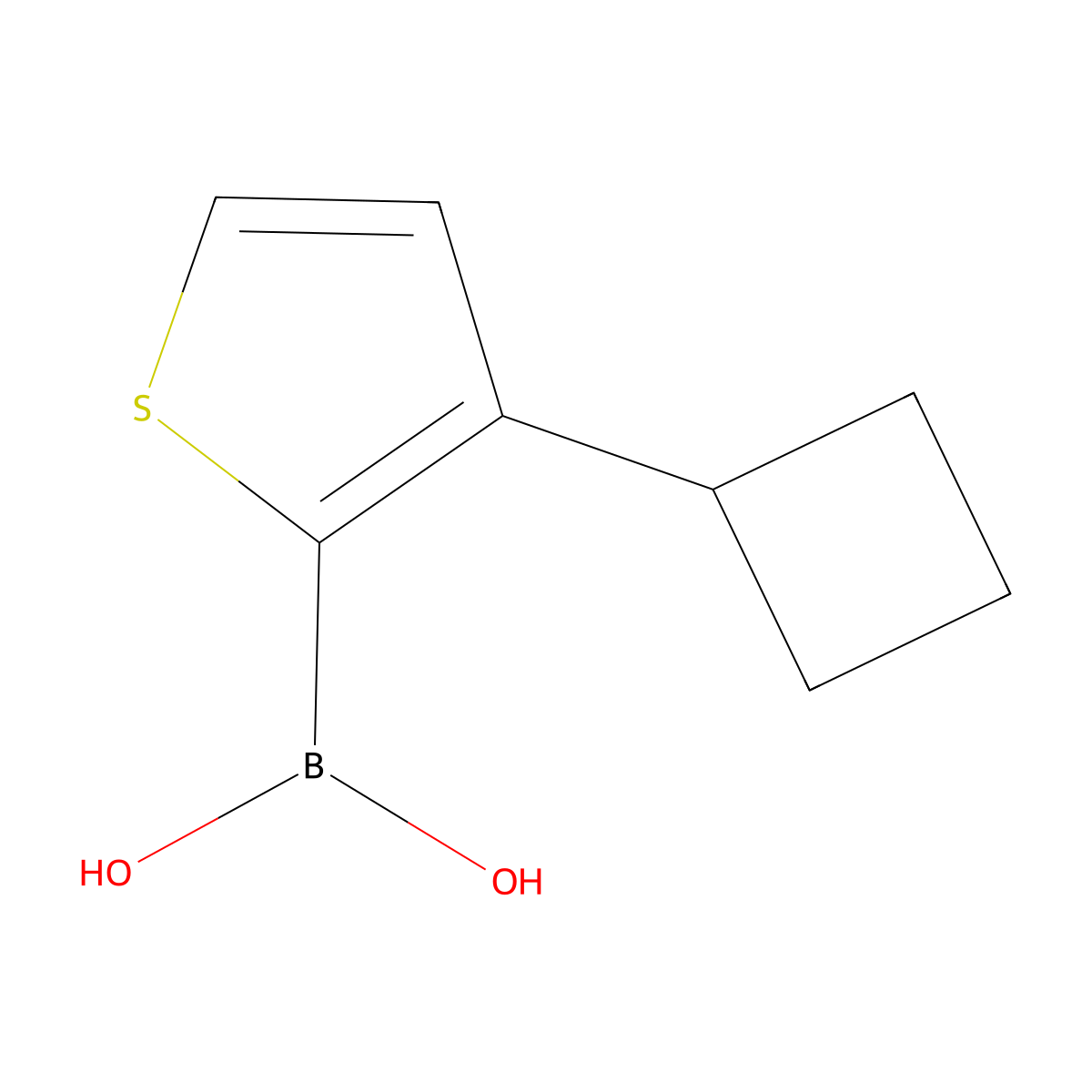 (3-Cyclobutylthiophen-2-yl)boronic acid molecular structure, CAS 2225173-48-6