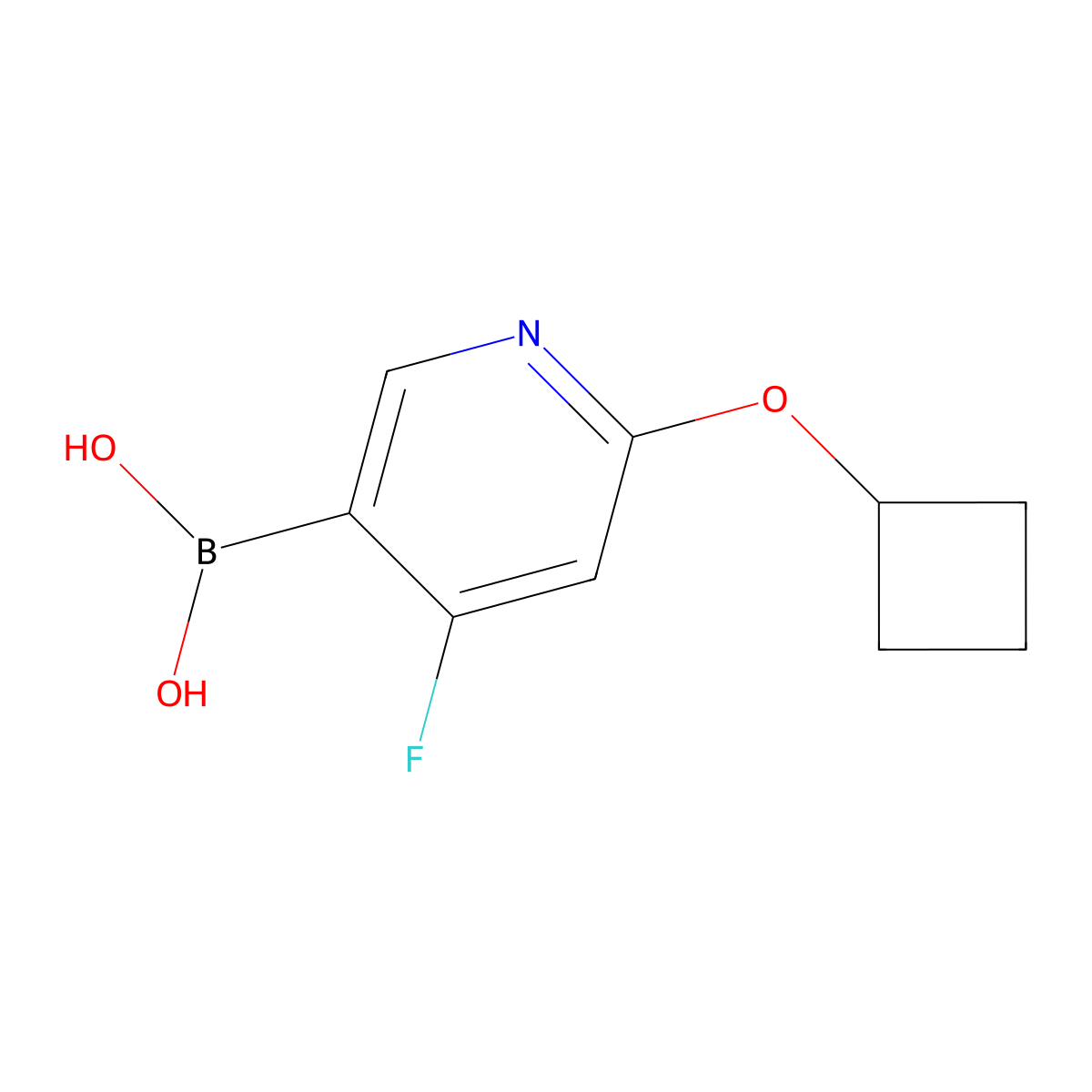 (6-Cyclobutoxy-4-fluoropyridin-3-yl)boronic acid molecular structure, CAS 2225174-65-0
