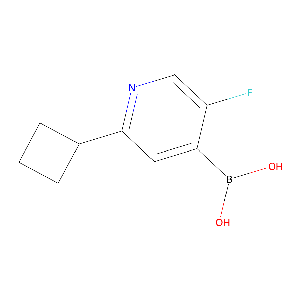 (2-Cyclobutyl-5-fluoropyridin-4-yl)boronic acid molecular structure, CAS 2225175-01-7