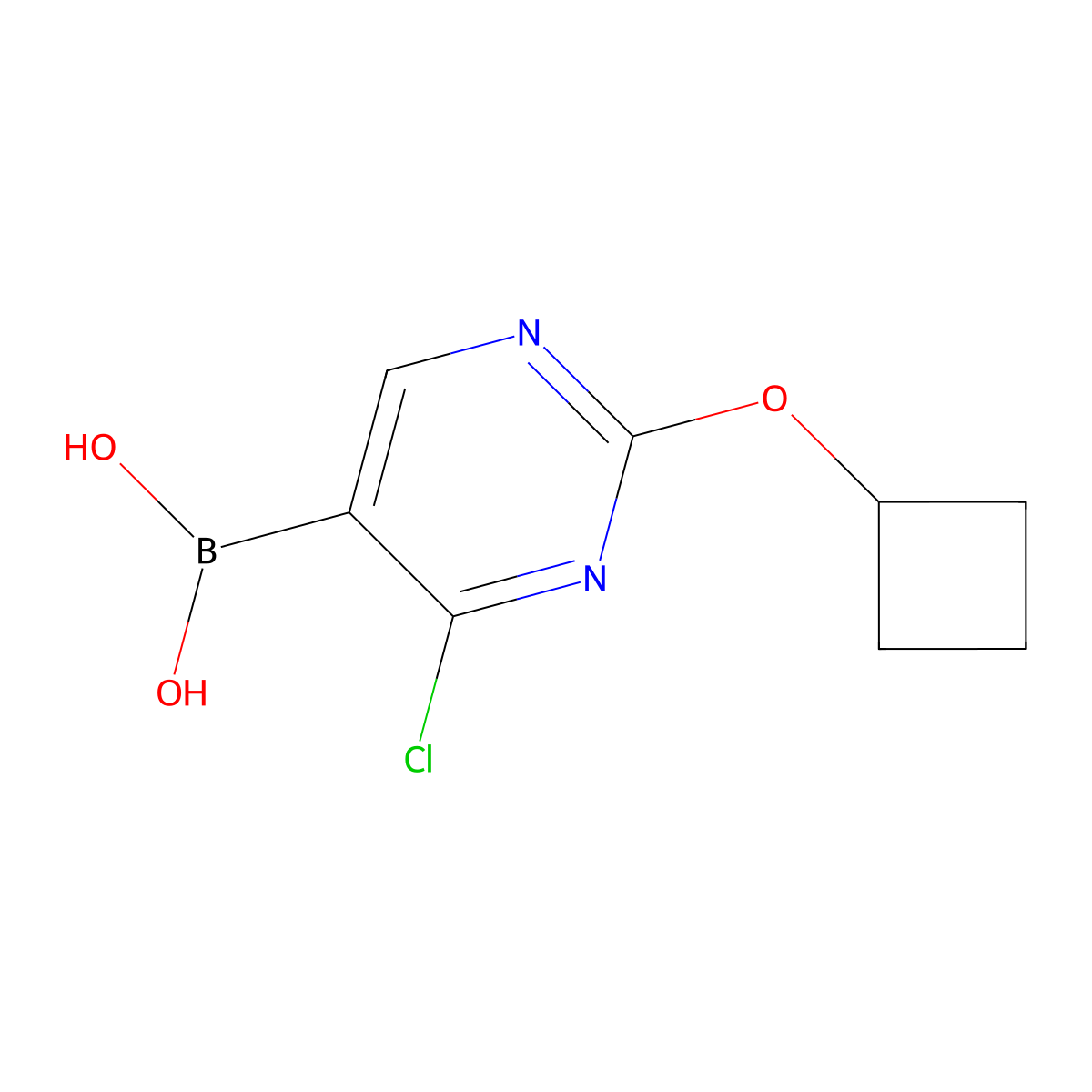 (4-Chloro-2-cyclobutoxypyrimidin-5-yl)boronic acid molecular structure, CAS 2225175-62-0