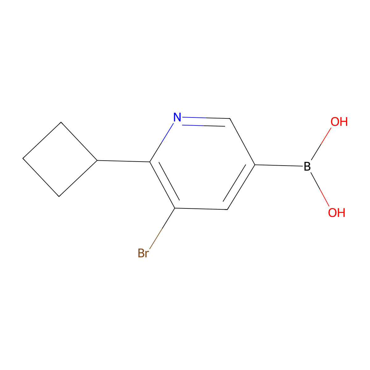 5-Bromo-6-cyclobutylpyridine-3-boronic acid molecular structure, CAS 2225176-79-2