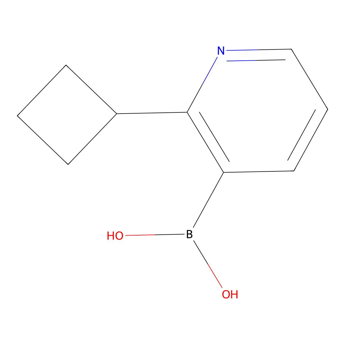 2-(Cyclobutyl)pyridine-3-boronic acid molecular structure, CAS 2225177-04-6