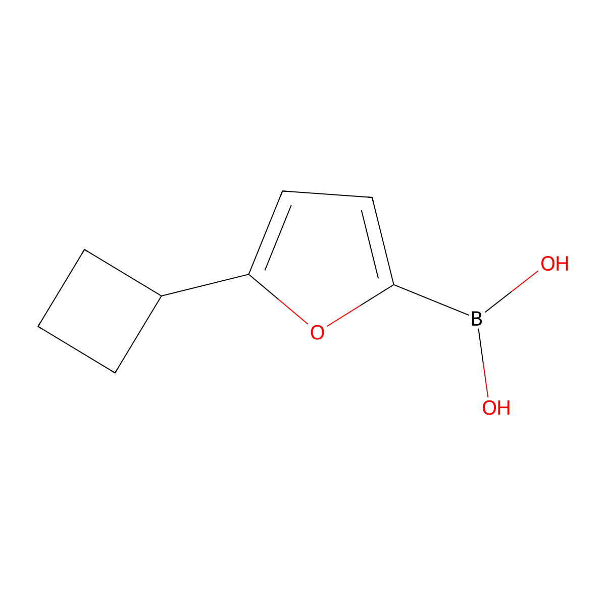 (5-Cyclobutylfuran-2-yl)boronic acid molecular structure, CAS 2225177-10-4