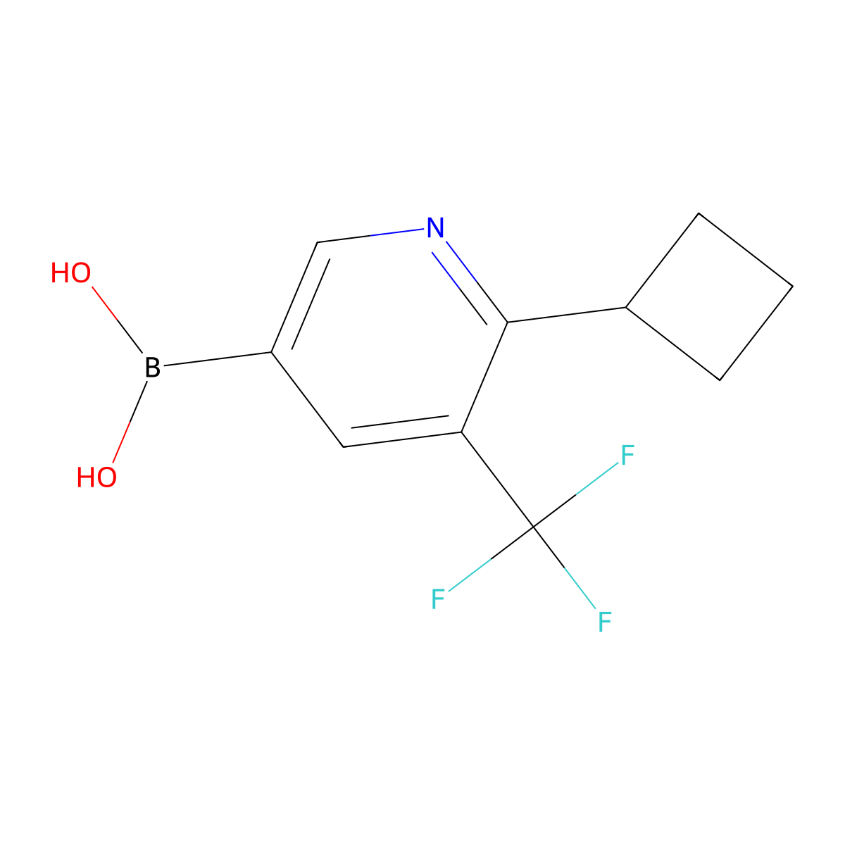 6-Cyclobutyl-5-trifluoromethylpyridine-3-boronic acid molecular structure, CAS 2225177-47-7