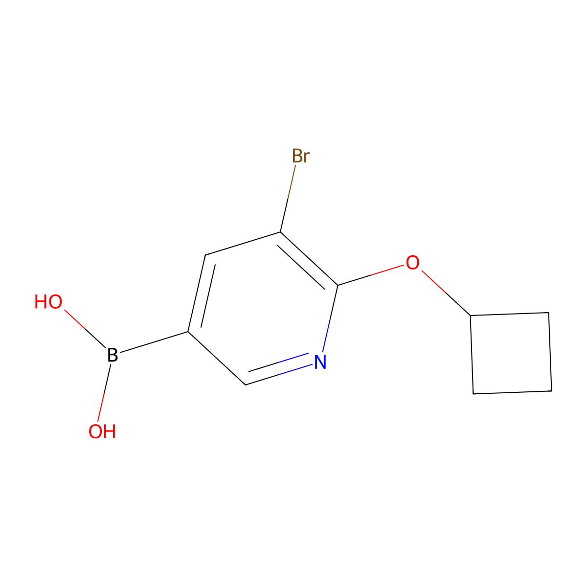 5-Bromo-6-cyclobutoxypyridine-3-boronic acid molecular structure, CAS 2225177-70-6
