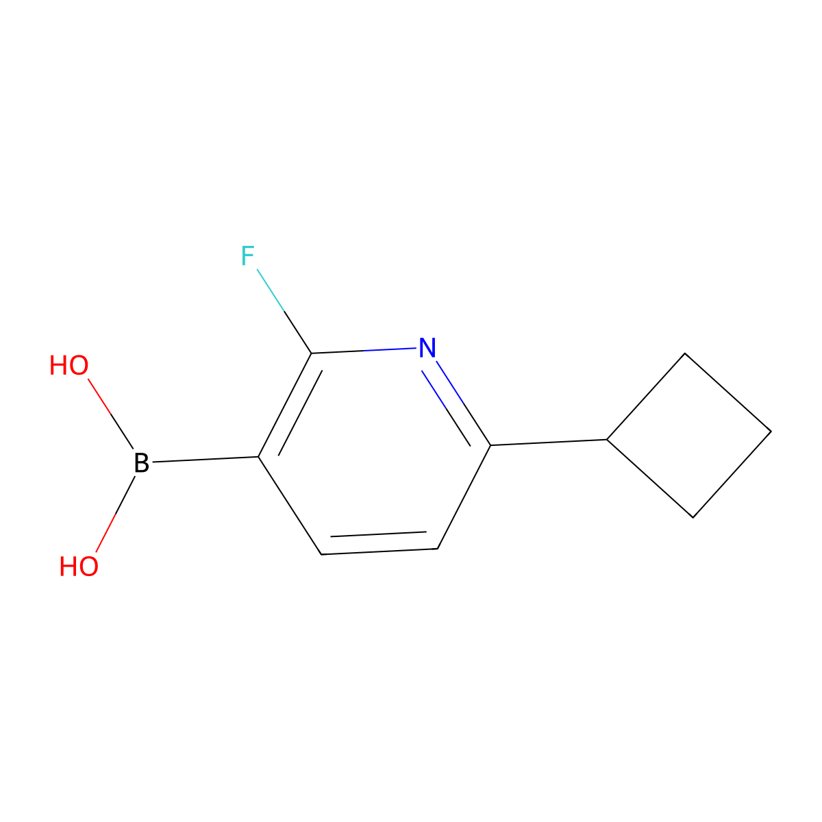 (6-Cyclobutyl-2-fluoropyridin-3-yl)boronic acid molecular structure, CAS 2225178-14-1