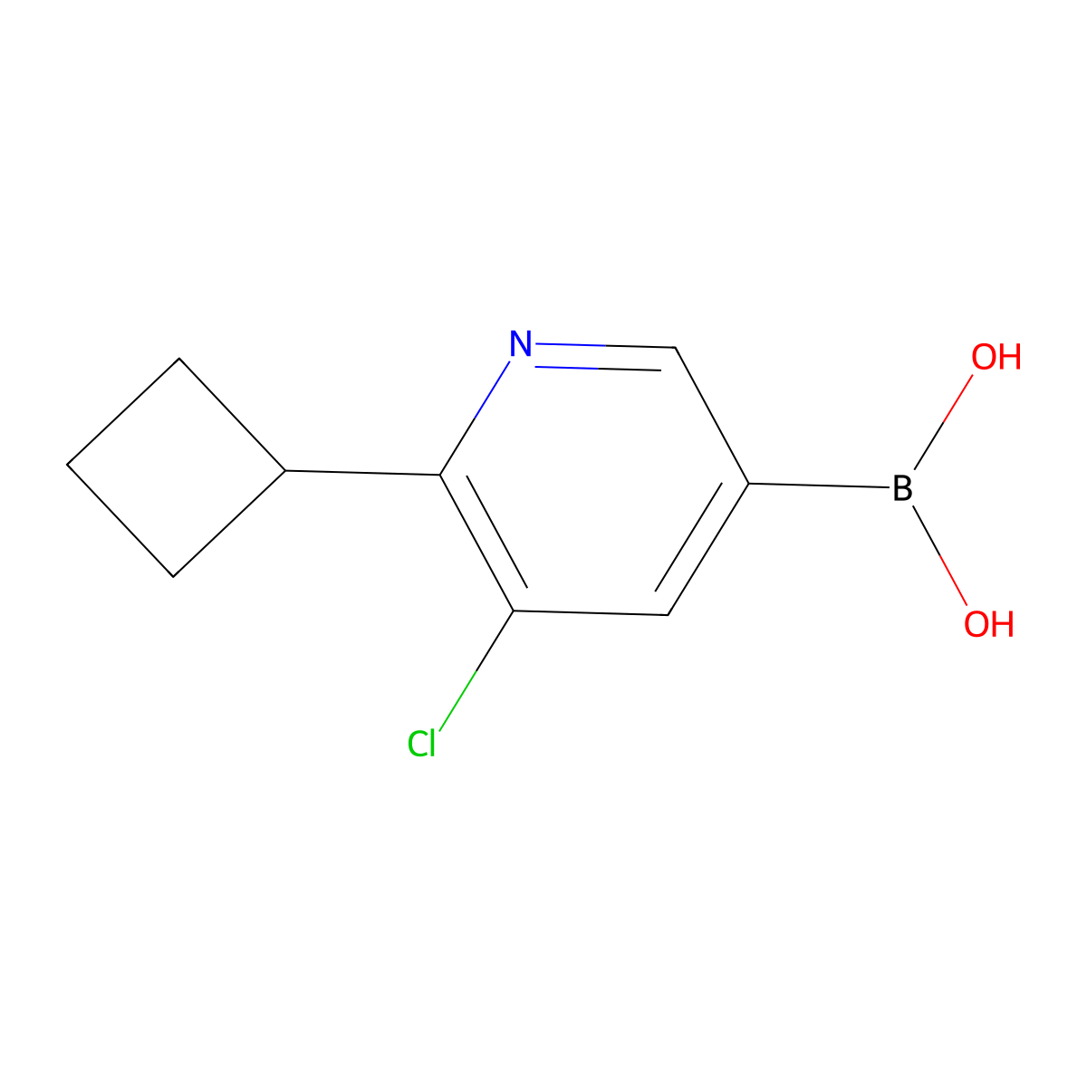 5-Chloro-6-cyclobutylpyridine-3-boronic acid molecular structure, CAS 2225178-94-7