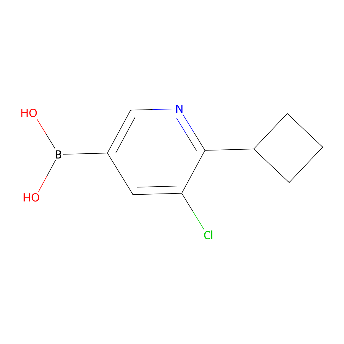 5-Chloro-6-cyclobutylpyridine-3-boronic acid molecular structure, CAS 2225178-94-7