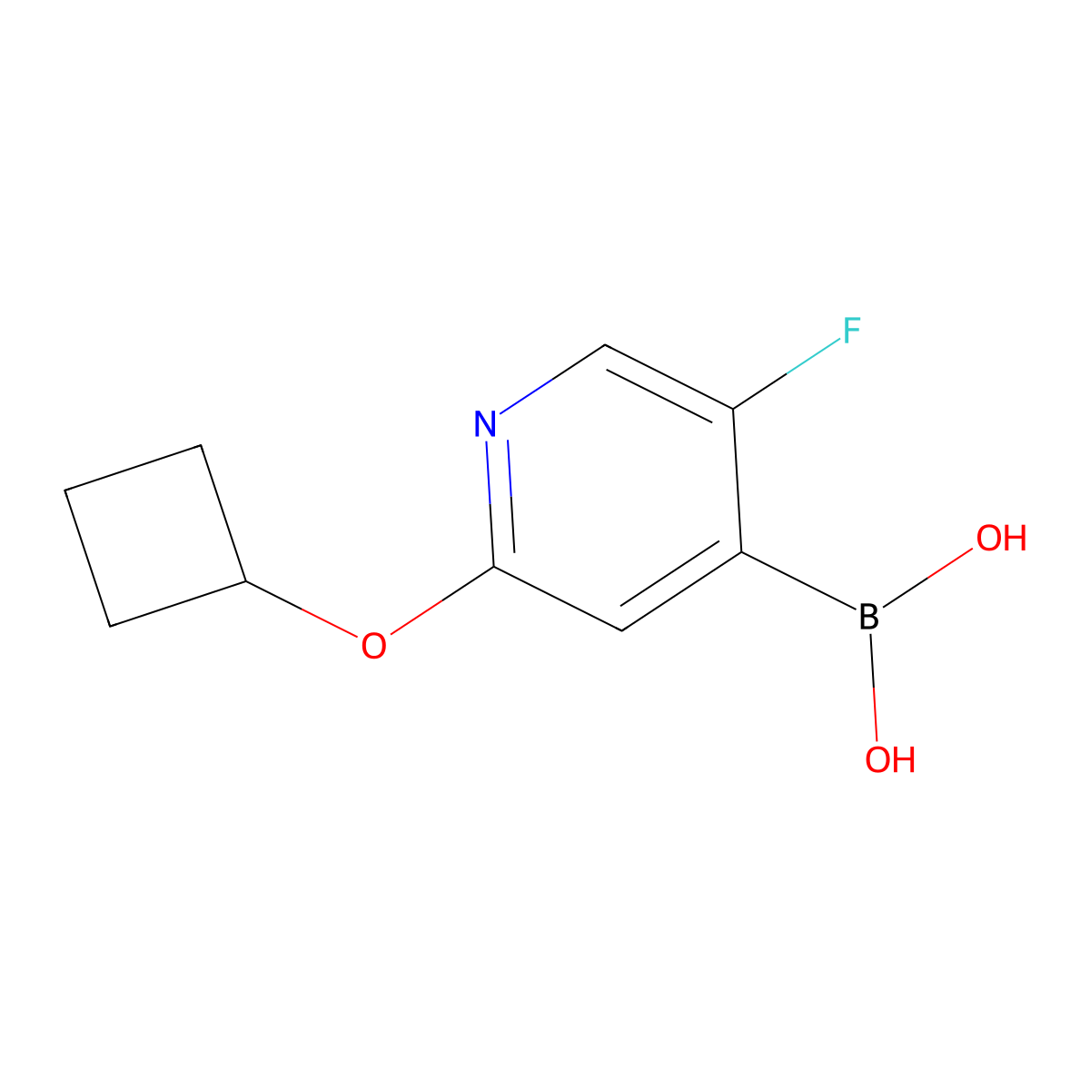 (2-Cyclobutoxy-5-fluoropyridin-4-yl)boronic acid molecular structure, CAS 2225179-65-5
