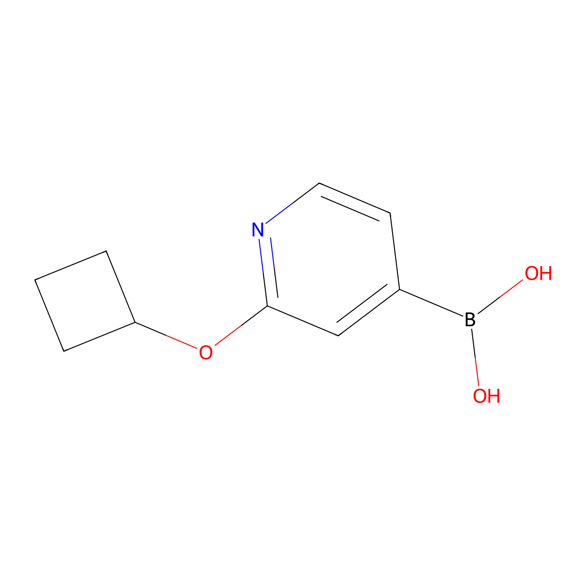 (2-Cyclobutoxypyridin-4-yl)boronic acid molecular structure, CAS 2225180-62-9