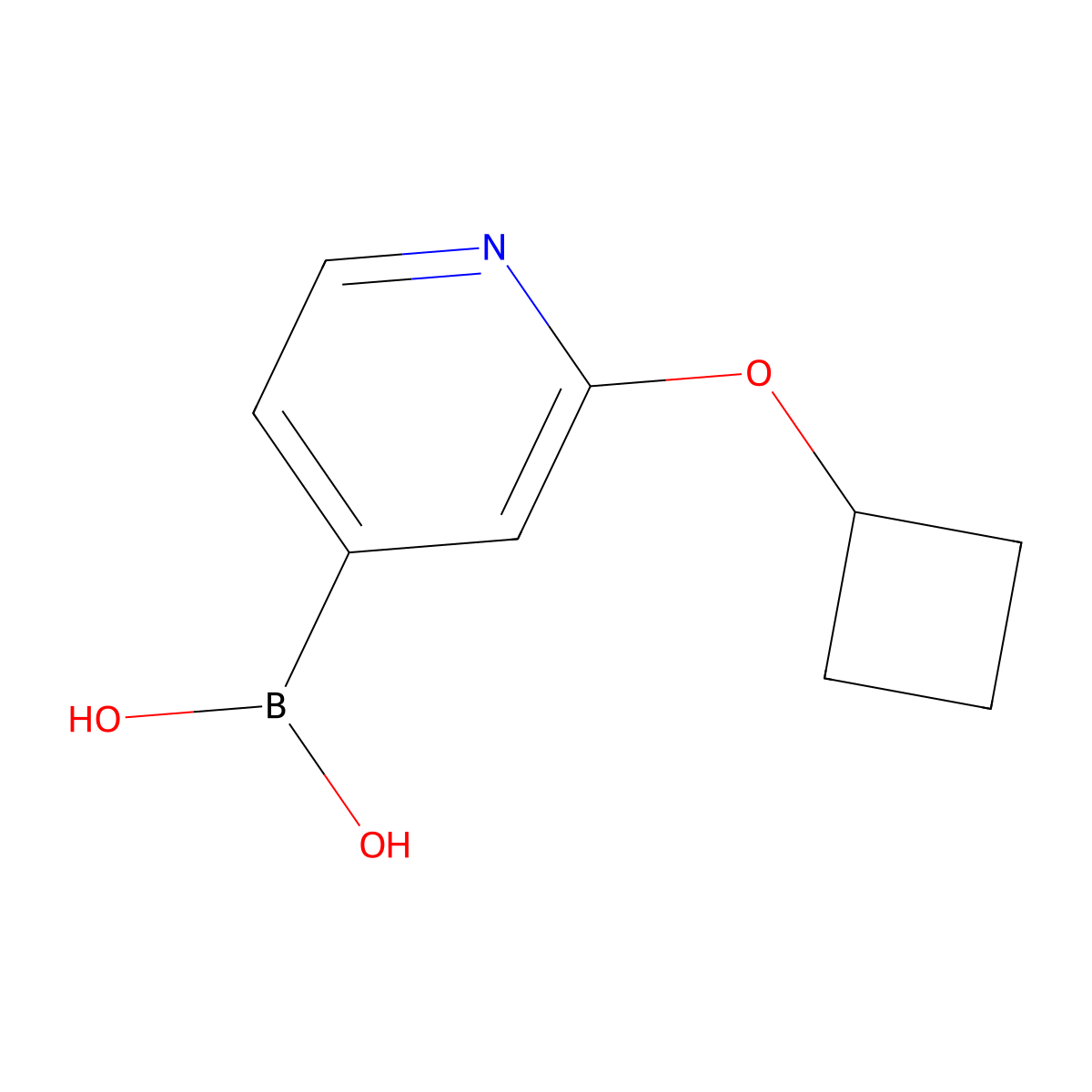 (2-Cyclobutoxypyridin-4-yl)boronic acid molecular structure, CAS 2225180-62-9
