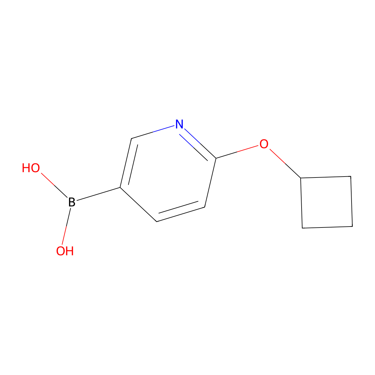 (6-Cyclobutoxypyridin-3-yl)boronic acid molecular structure, CAS 2225181-11-1