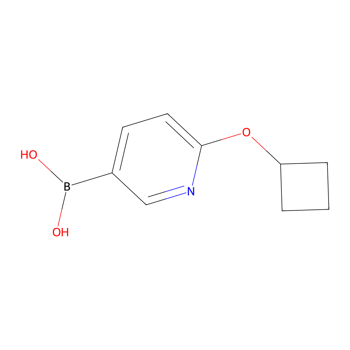 (6-Cyclobutoxypyridin-3-yl)boronic acid molecular structure, CAS 2225181-11-1