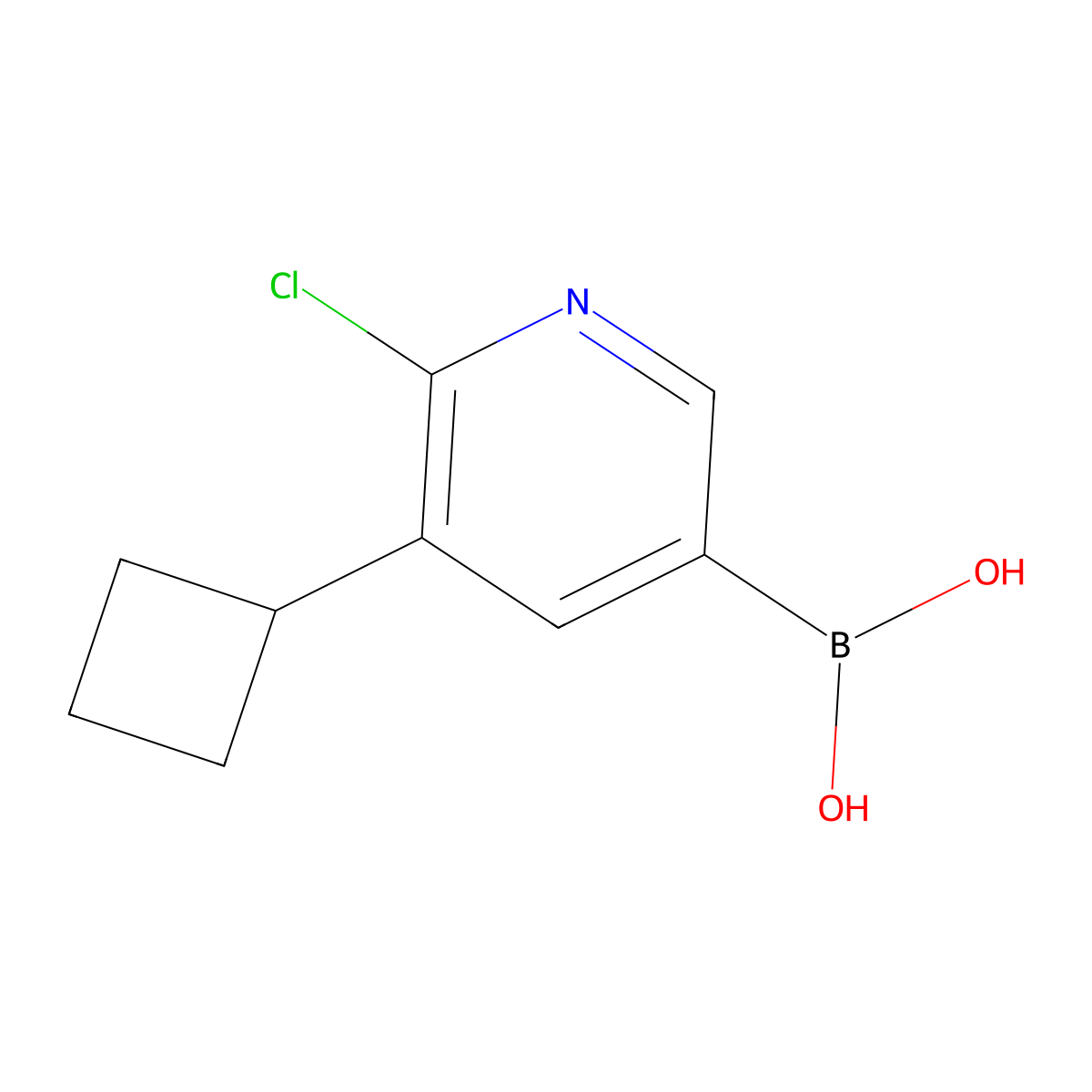 6-Chloro-5-(cyclobutyl)pyridine-3-boronic acid molecular structure, CAS 2225181-48-4