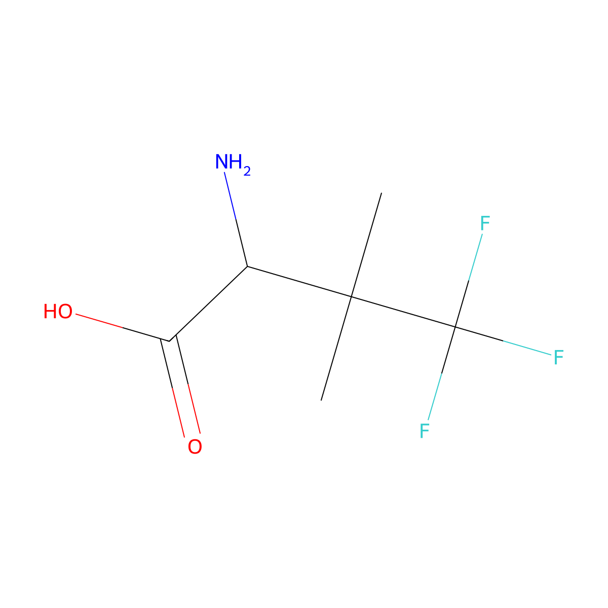 2-Amino-4,4,4-trifluoro-3,3-dimethylbutanoic acid molecular structure, CAS 2228118-66-7