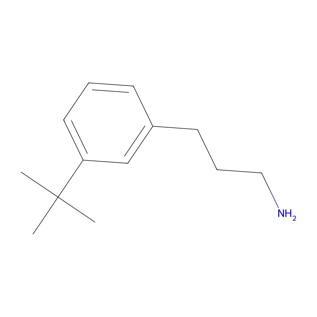 3-(3-Tert-butylphenyl)propan-1-amine molecular structure, CAS 2228534-58-3