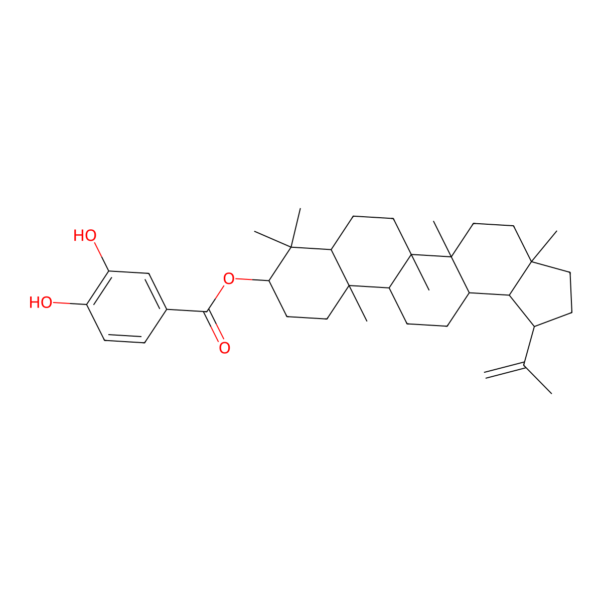 3,4-Dihydroxybenzoyllupeol molecular structure, CAS 2231323-99-0