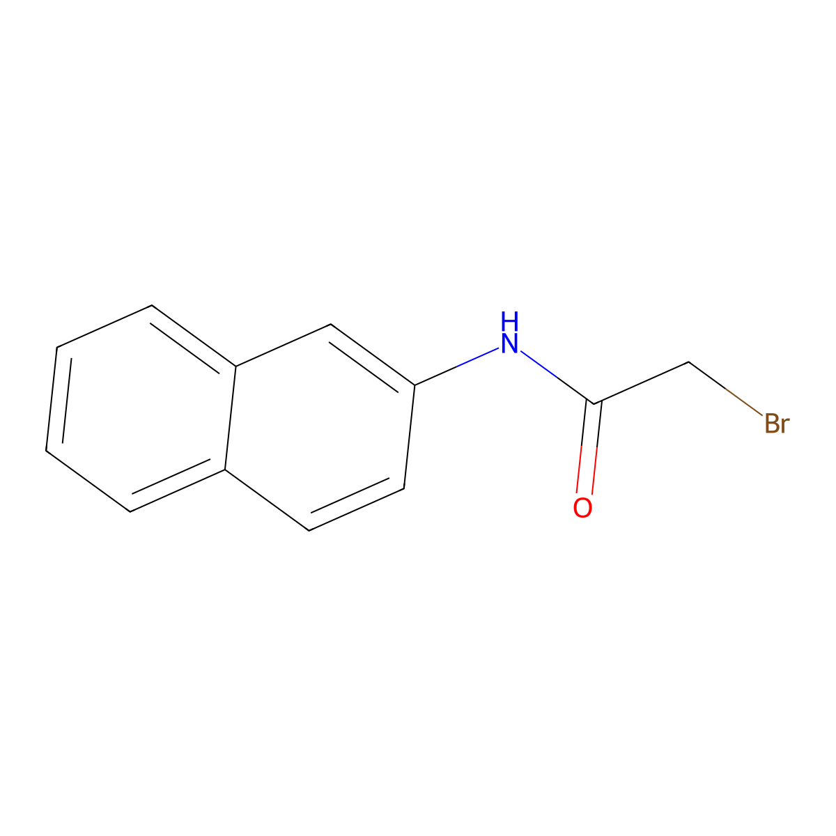 2-Bromo-N-2-naphthalenylacetamide molecular structure, CAS 22344-79-2