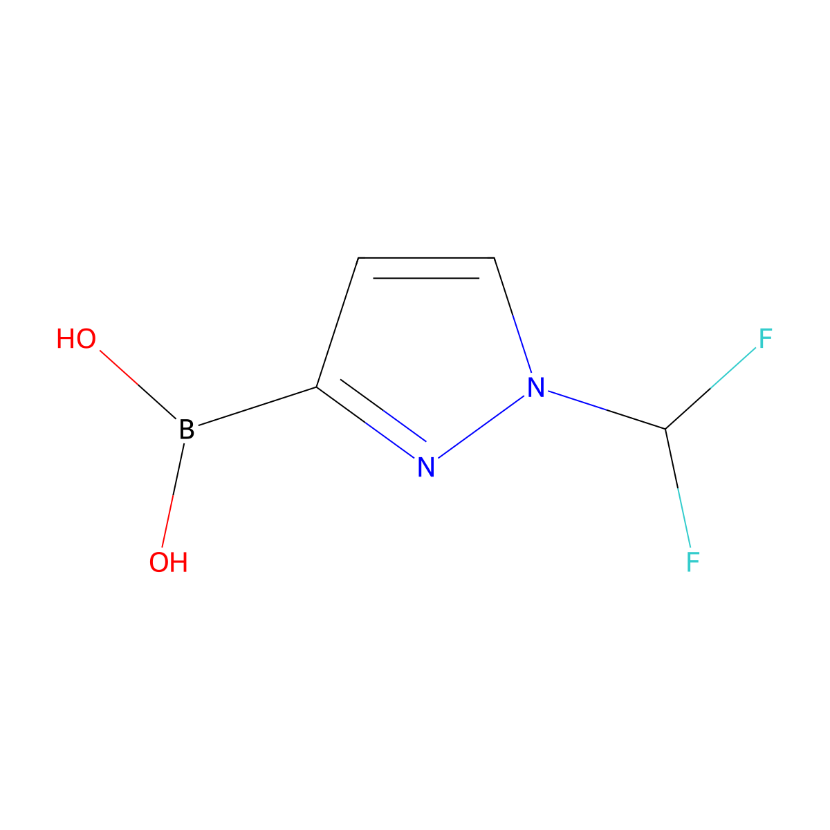 [1-(Difluoromethyl)-1H-pyrazol-3-yl]boronic Acid molecular structure, CAS 2243270-18-8