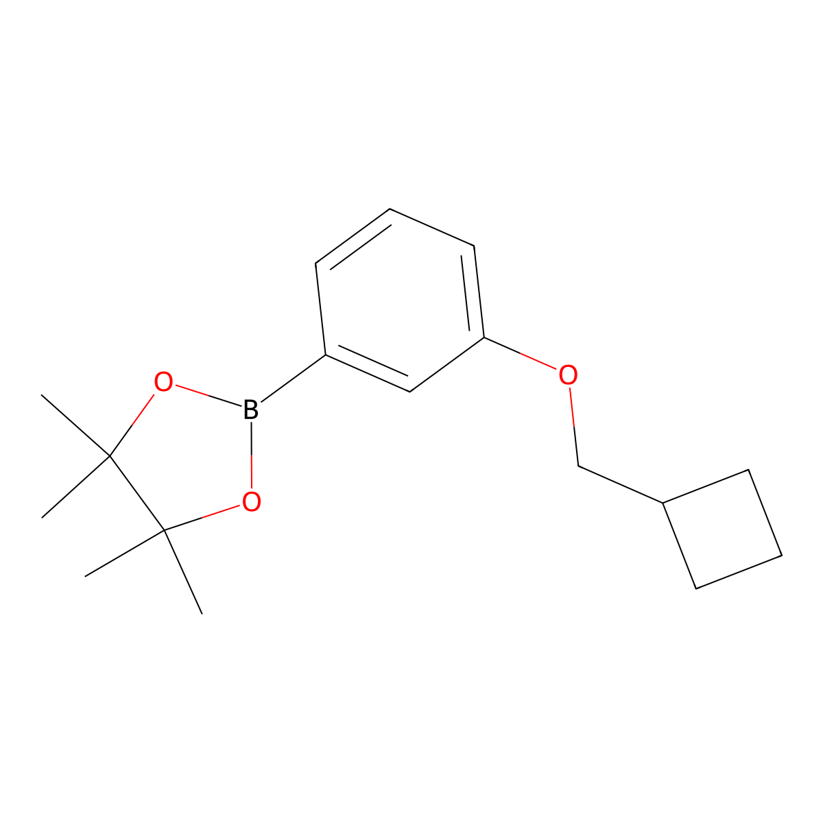 2-(3-(Cyclobutylmethoxy)phenyl)-4,4,5,5-tetramethyl-1,3,2-dioxaborolane molecular structure, CAS 2246562-24-1