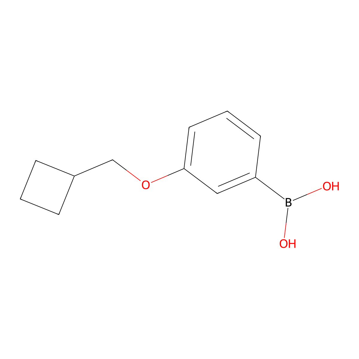 B-[3-(Cyclobutylmethoxy)phenyl]boronic acid molecular structure, CAS 2246599-50-6