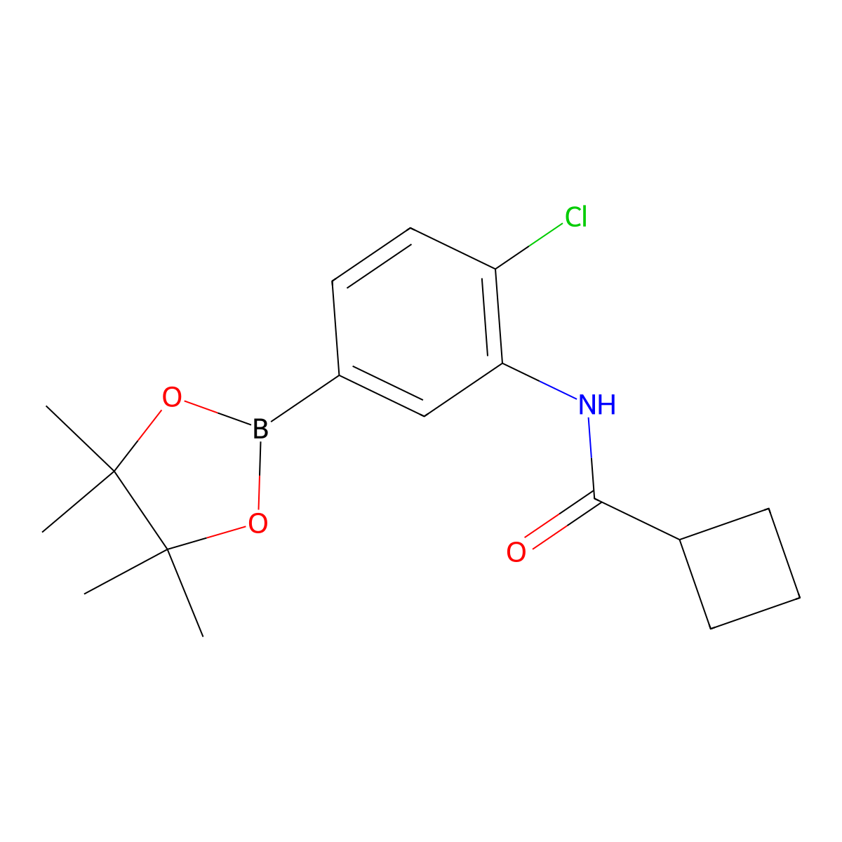 N-[2-chloro-5-(tetramethyl-1,3,2-dioxaborolan-2-yl)phenyl]cyclobutanecarboxamide molecular structure, CAS 2246693-75-2