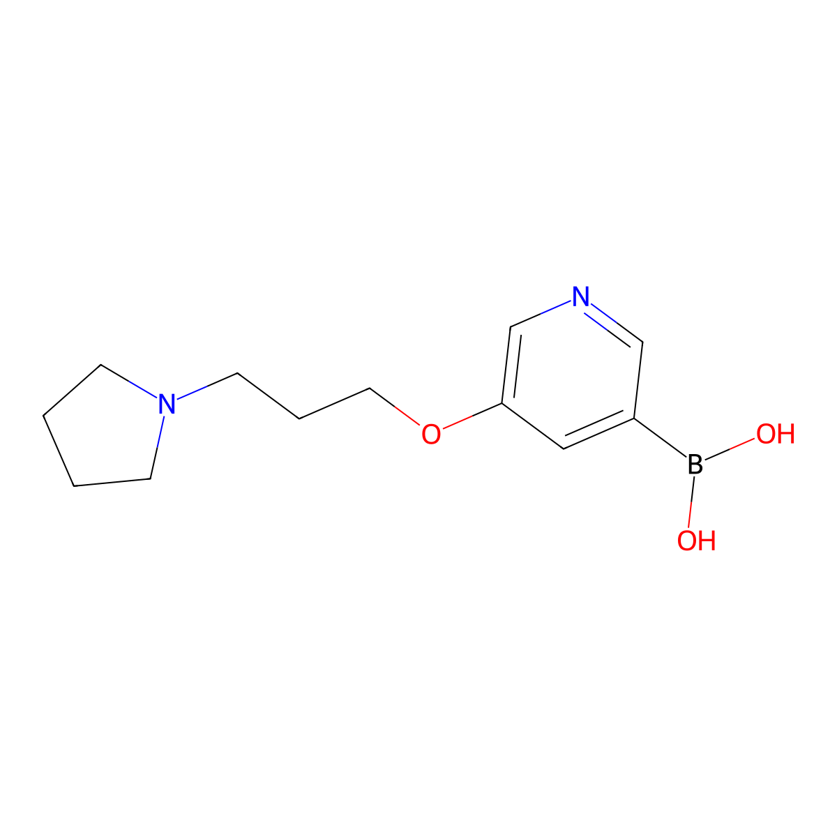 {5-[3-(Pyrrolidin-1-yl)propoxy]pyridin-3-yl}boronic acid molecular structure, CAS 2246857-40-7