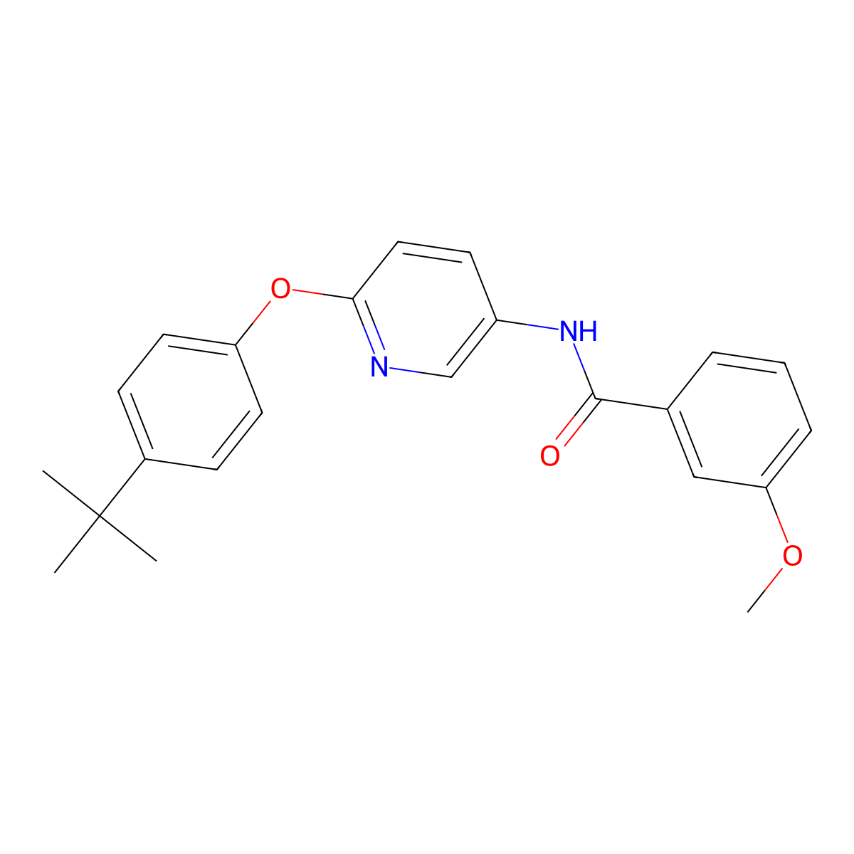 N-[6-(4-tert-butylphenoxy)-3-pyridinyl]-3-methoxybenzamide molecular structure, CAS 224804-64-2