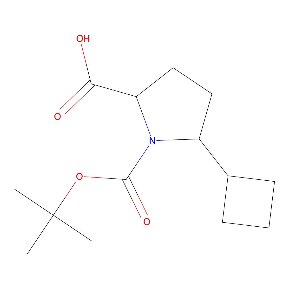 1-[(Tert-butoxy)carbonyl]-5-cyclobutylpyrrolidine-2-carboxylic acid molecular structure, CAS 2248260-43-5