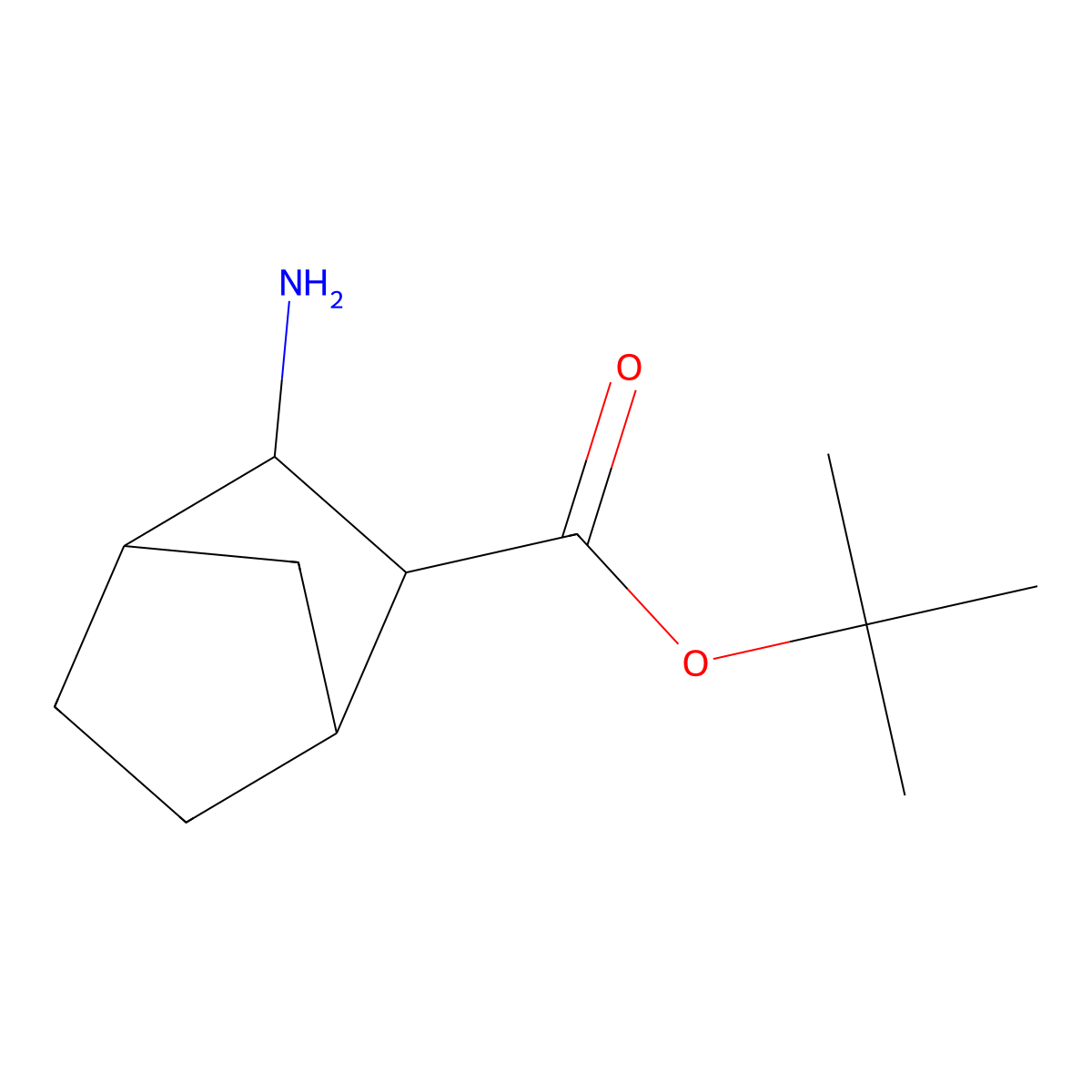 rac-tert-butyl (1R,2S,3R,4S)-3-aminobicyclo[2.2.1]heptane-2-carboxylate molecular structure, CAS 2248322-61-2