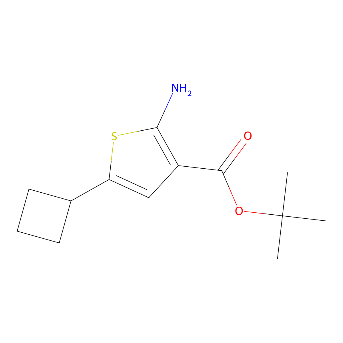 Tert-butyl 2-amino-5-cyclobutylthiophene-3-carboxylate molecular structure, CAS 2248336-72-1