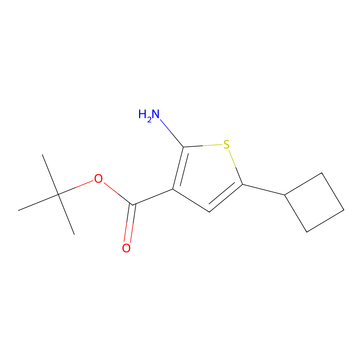 Tert-butyl 2-amino-5-cyclobutylthiophene-3-carboxylate molecular structure, CAS 2248336-72-1