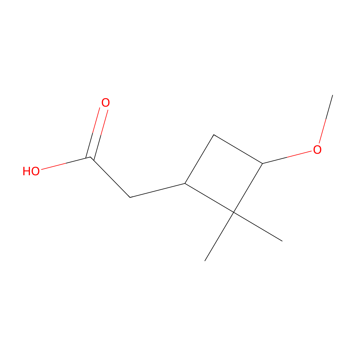 2-(3-Methoxy-2,2-dimethylcyclobutyl)acetic acid molecular structure, CAS 2248406-62-2