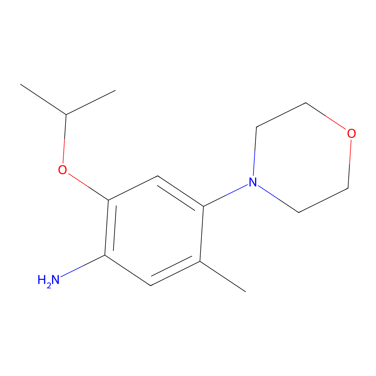 5-Methyl-4-(morpholin-4-yl)-2-(propan-2-yloxy)aniline molecular structure, CAS 2256077-47-9