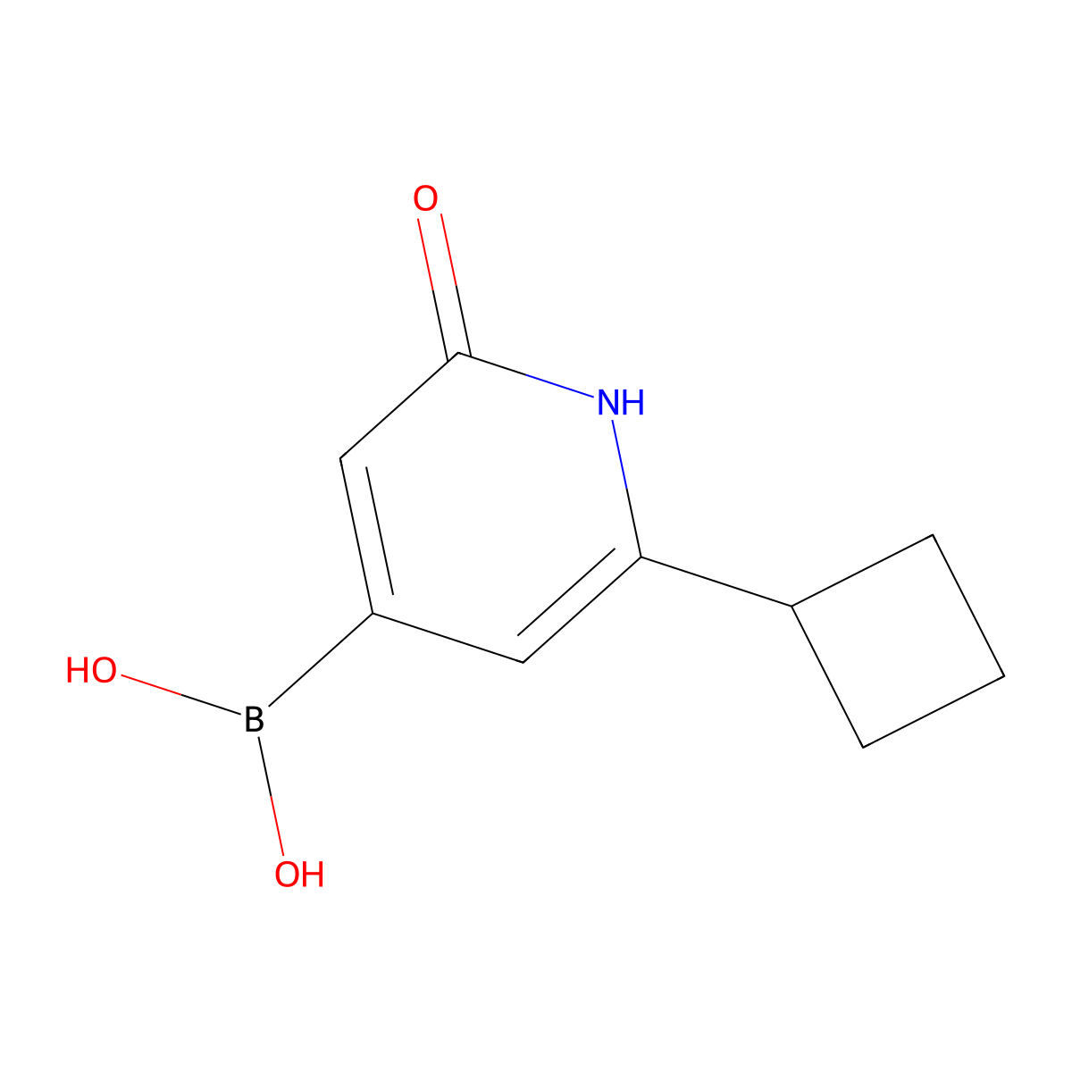 (2-Cyclobutyl-6-hydroxypyridin-4-yl)boronic acid molecular structure, CAS 2256747-47-2