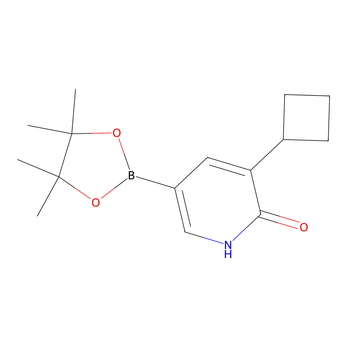 3-cyclobutyl-5-(4,4,5,5-tetramethyl-1,3,2-dioxaborolan-2-yl)pyridin-2(1H)-one molecular structure, CAS 2256755-01-6