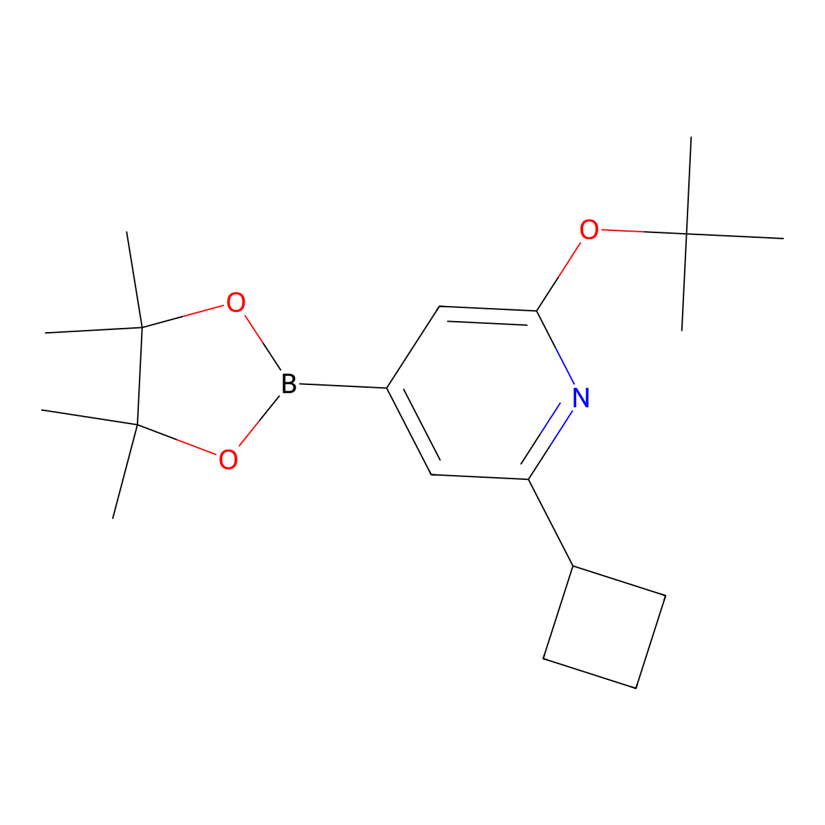 2-(Tert-butoxy)-6-cyclobutyl-4-(4,4,5,5-tetramethyl-1,3,2-dioxaborolan-2-yl)pyridine molecular structure, CAS 2256755-10-7
