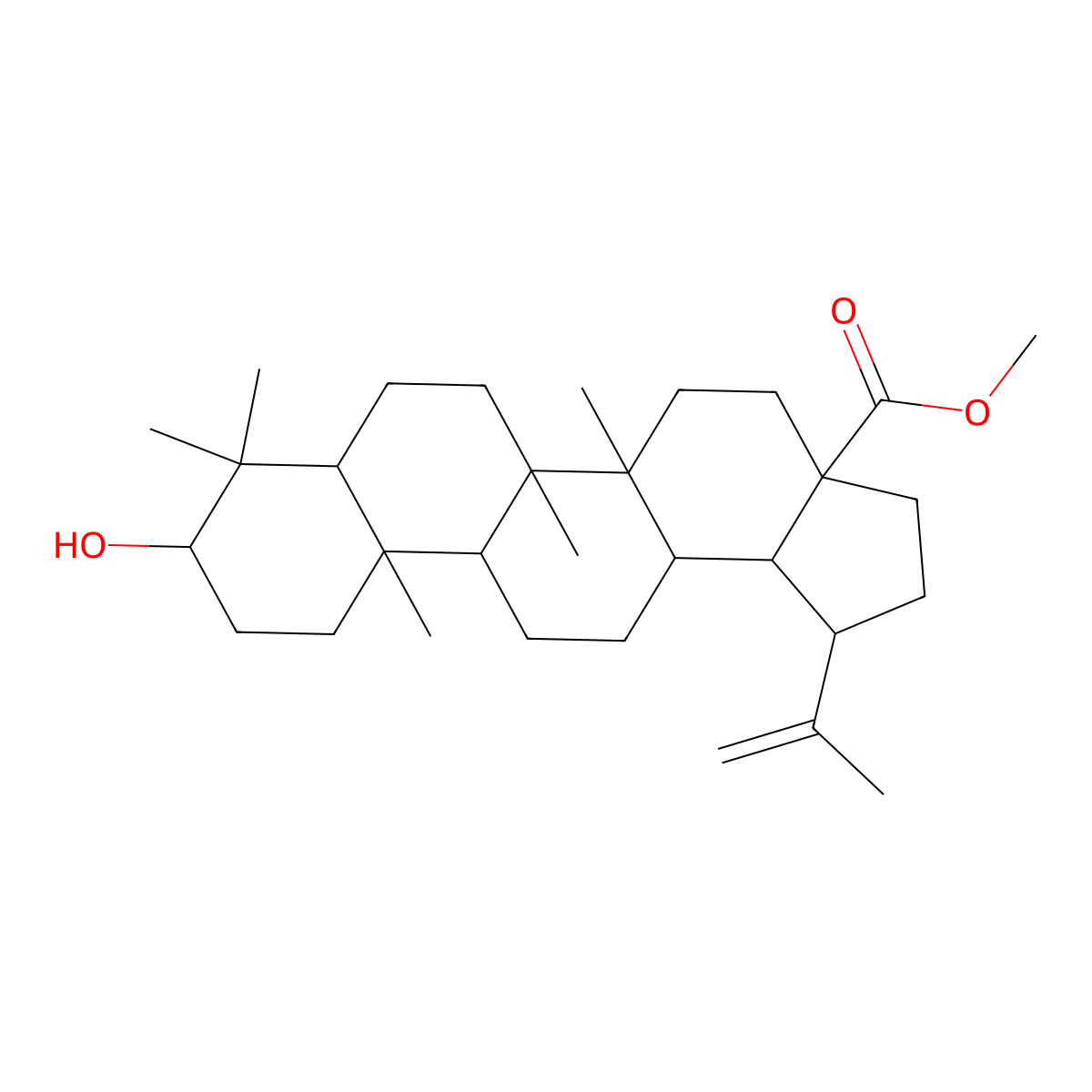Methyl Betulinate molecular structure, CAS 2259-06-5