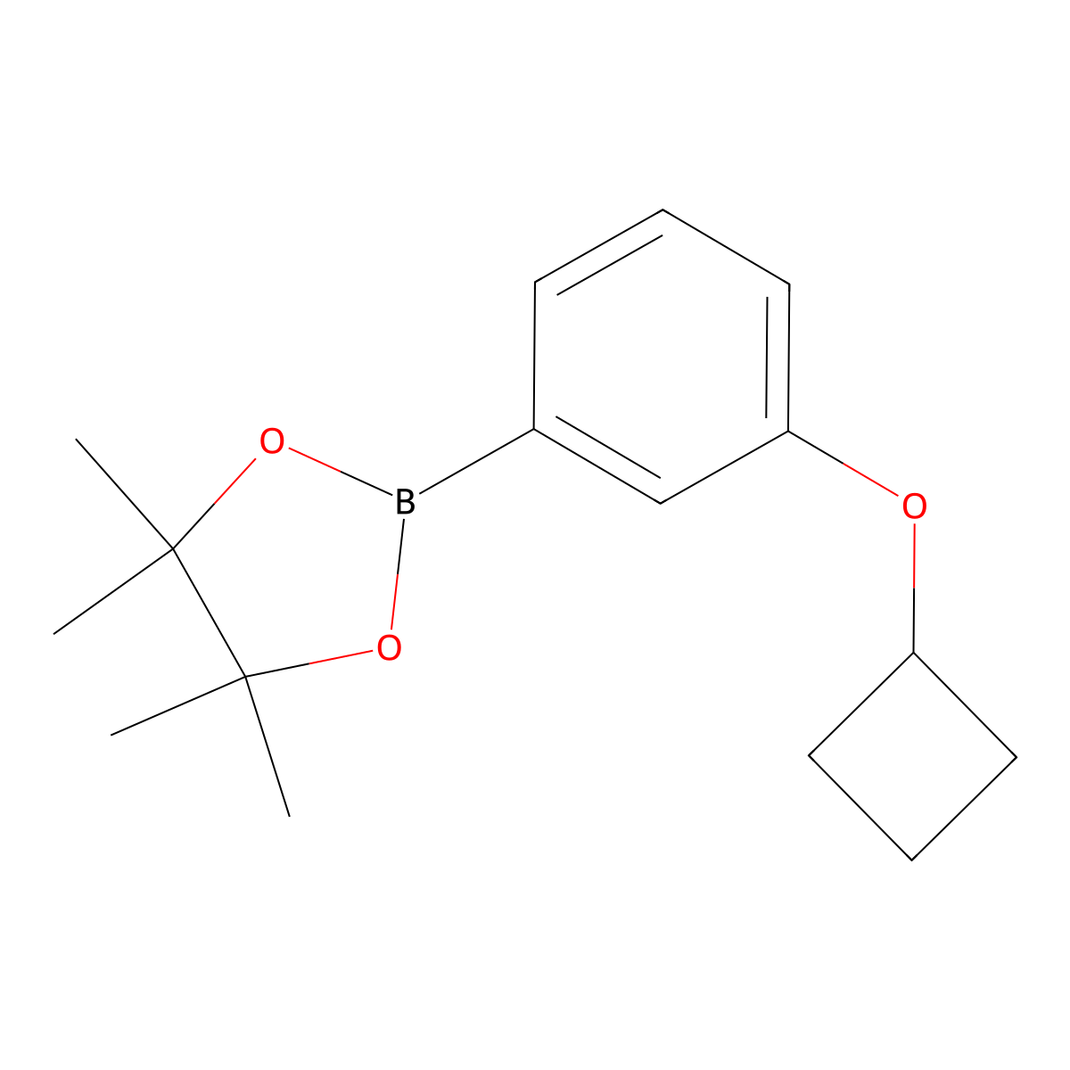 2-(3-Cyclobutoxyphenyl)-4,4,5,5-tetramethyl-1,3,2-dioxaborolane molecular structure, CAS 2275606-47-6