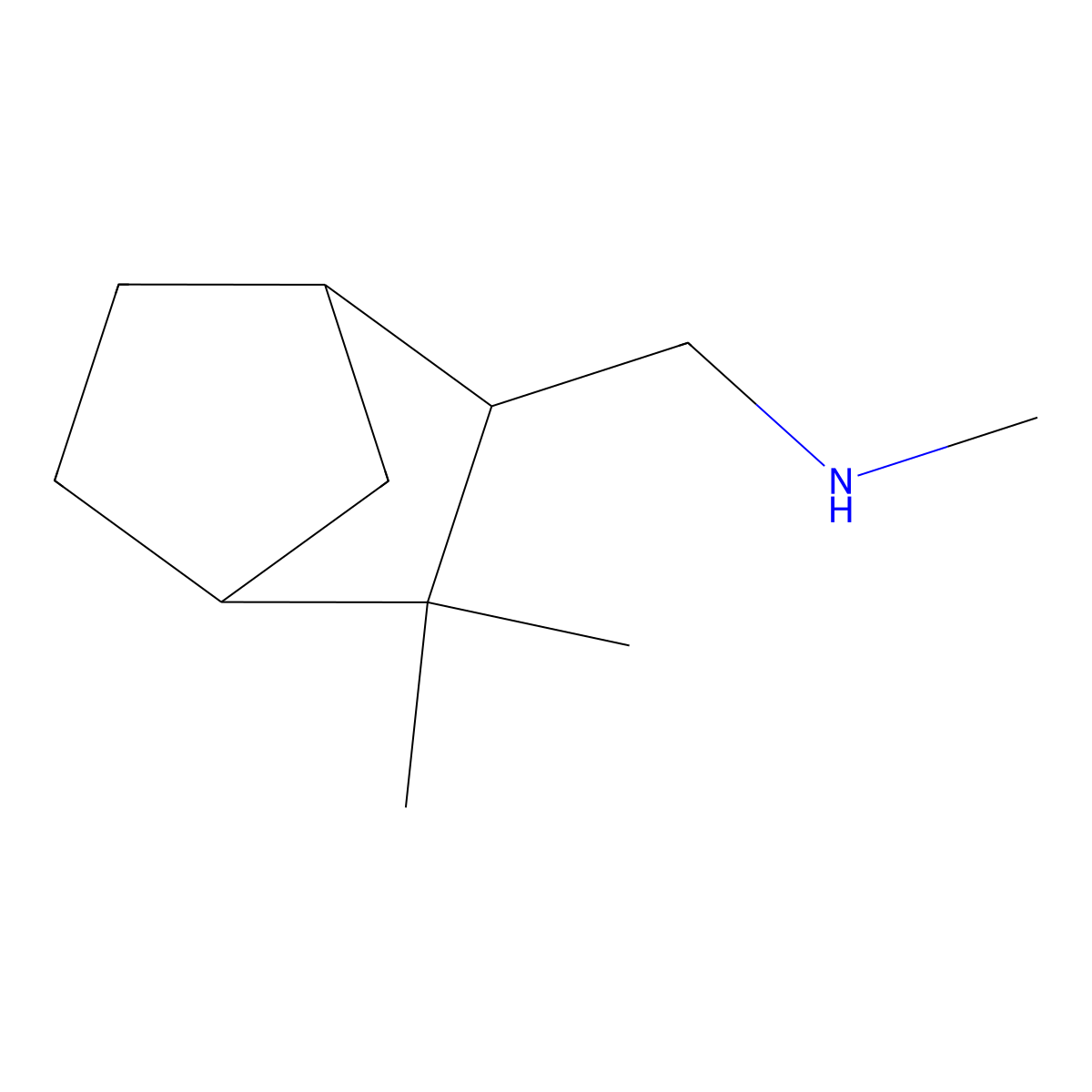 ({3,3-Dimethylbicyclo[2.2.1]heptan-2-yl}methyl)(methyl)amine molecular structure, CAS 2301078-95-3