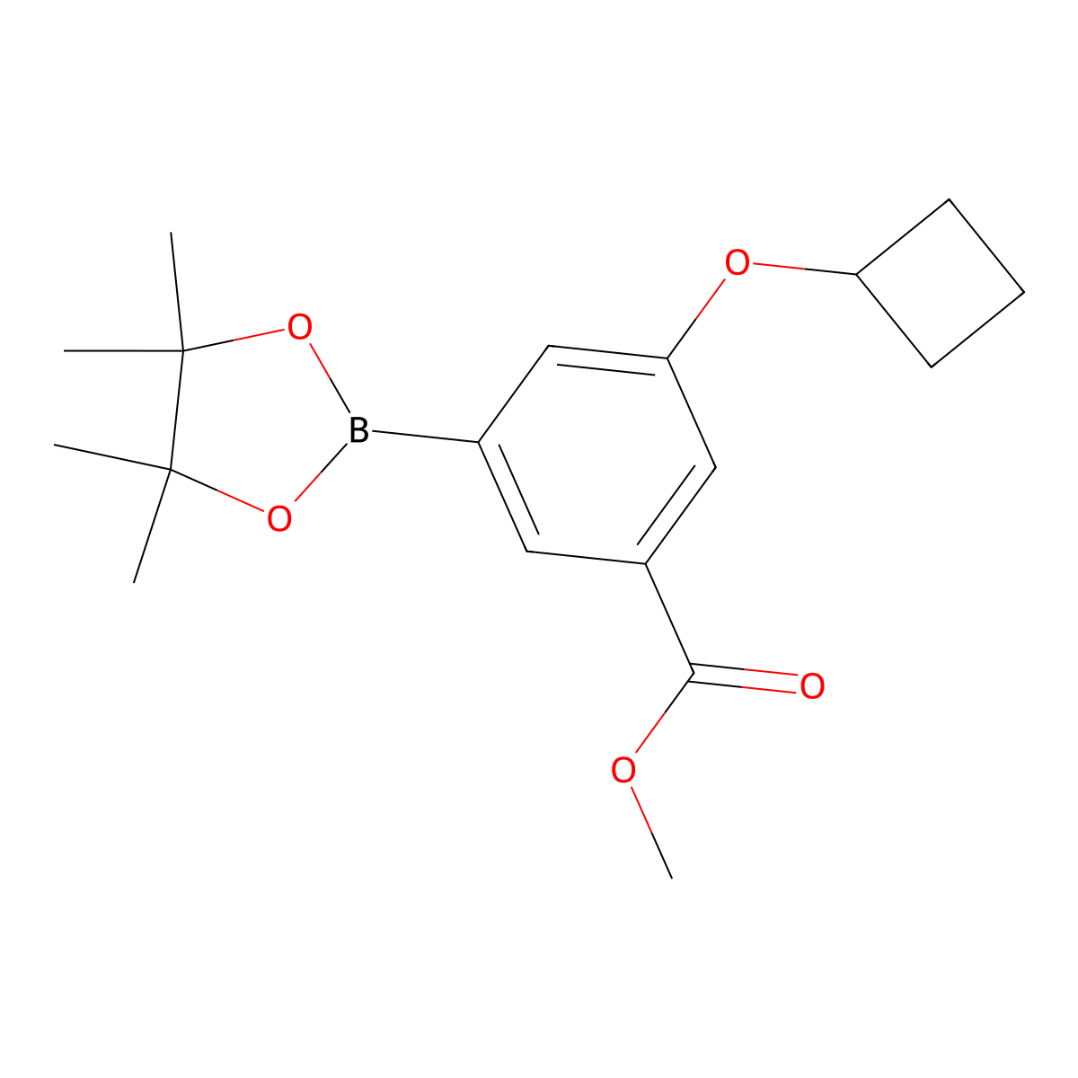 Methyl 3-cyclobutoxy-5-(4,4,5,5-tetramethyl-1,3,2-dioxaborolan-2-YL)benzoate molecular structure, CAS 2304633-86-9
