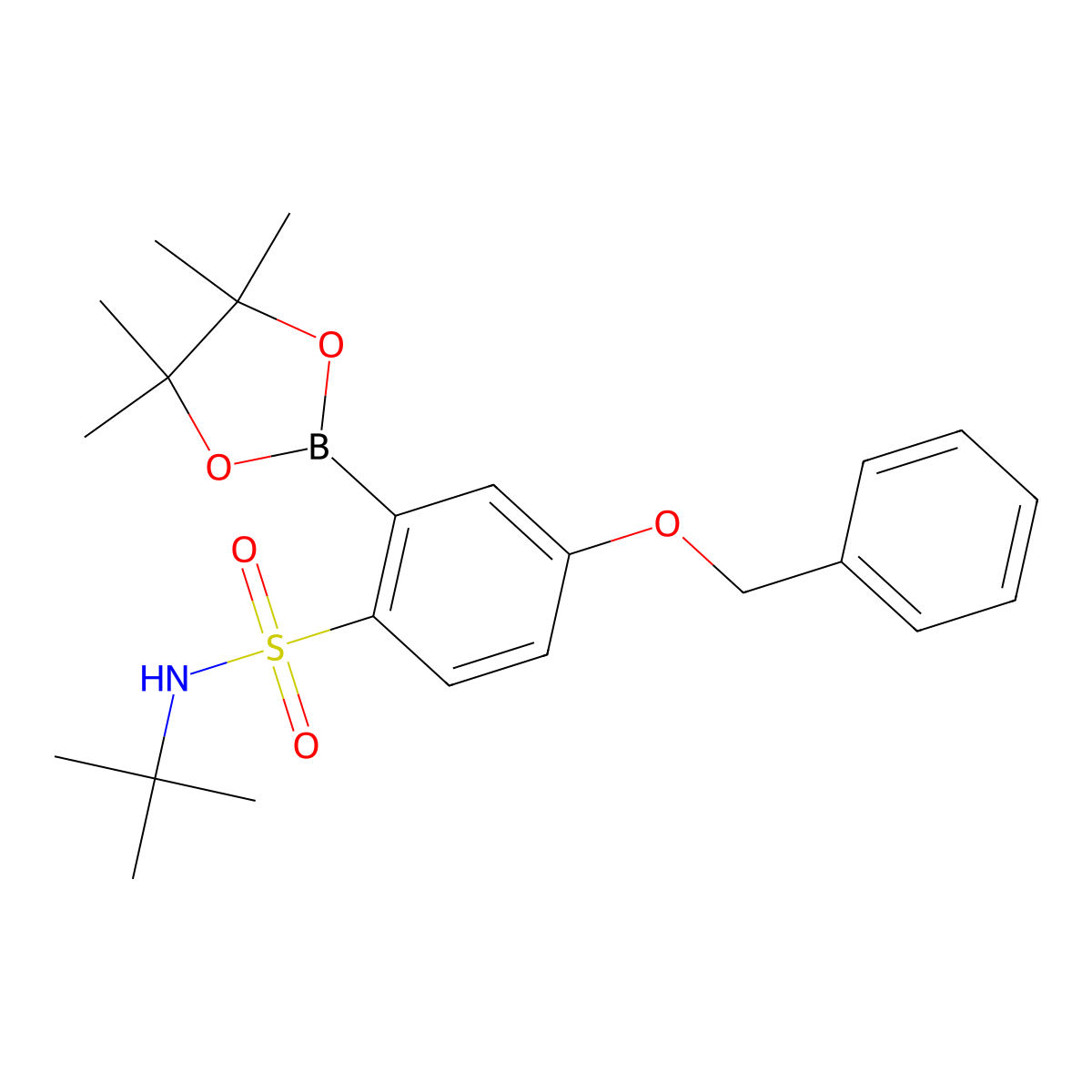 4-(benzyloxy)-N-(tert-butyl)-2-(4,4,5,5-tetramethyl-1,3,2-dioxaborolan-2-yl)benzenesulfonamide molecular structure, CAS 2304635-64-9