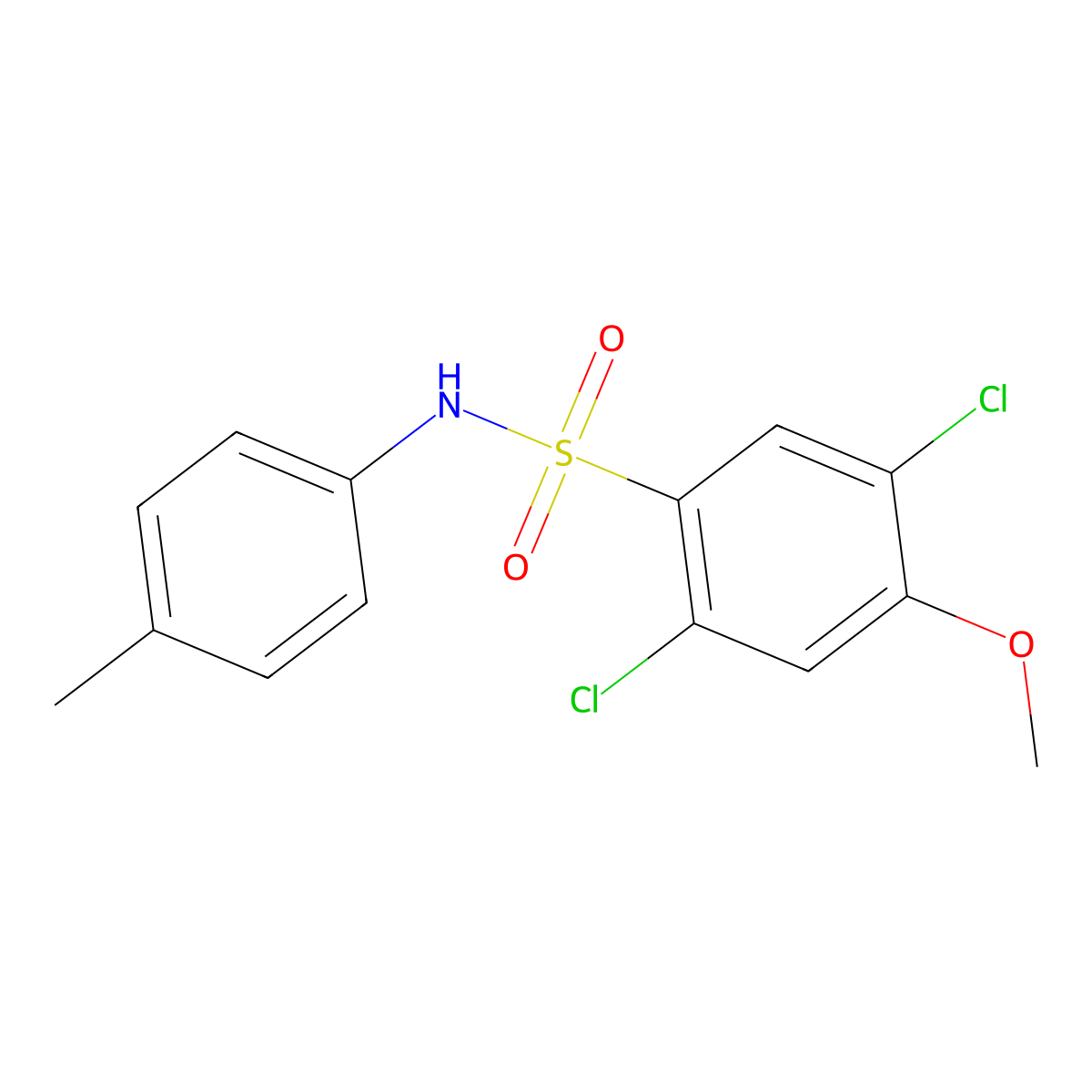 2,5-dichloro-4-methoxy-N-(4-methylphenyl)benzene-1-sulfonamide molecular structure, CAS 2305297-08-7