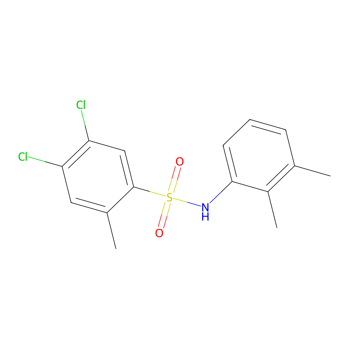 4,5-dichloro-N-(2,3-dimethylphenyl)-2-methylbenzene-1-sulfonamide molecular structure, CAS 2305476-13-3