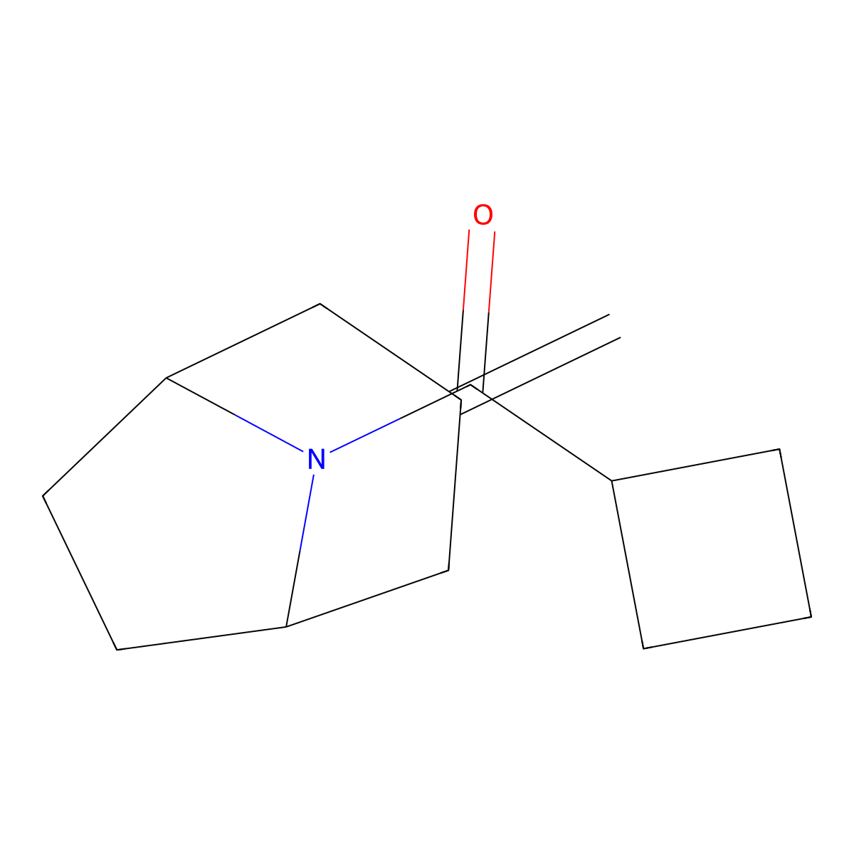 8-Cyclobutanecarbonyl-3-methylidene-8-azabicyclo[3.2.1]octane molecular structure, CAS 2309214-02-4