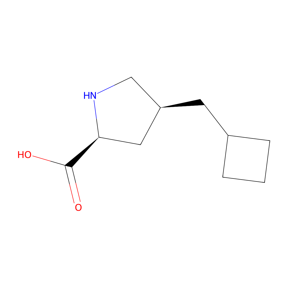 rac-(2R,4R)-4-(cyclobutylmethyl)pyrrolidine-2-carboxylic acid molecular structure, CAS 2309431-34-1