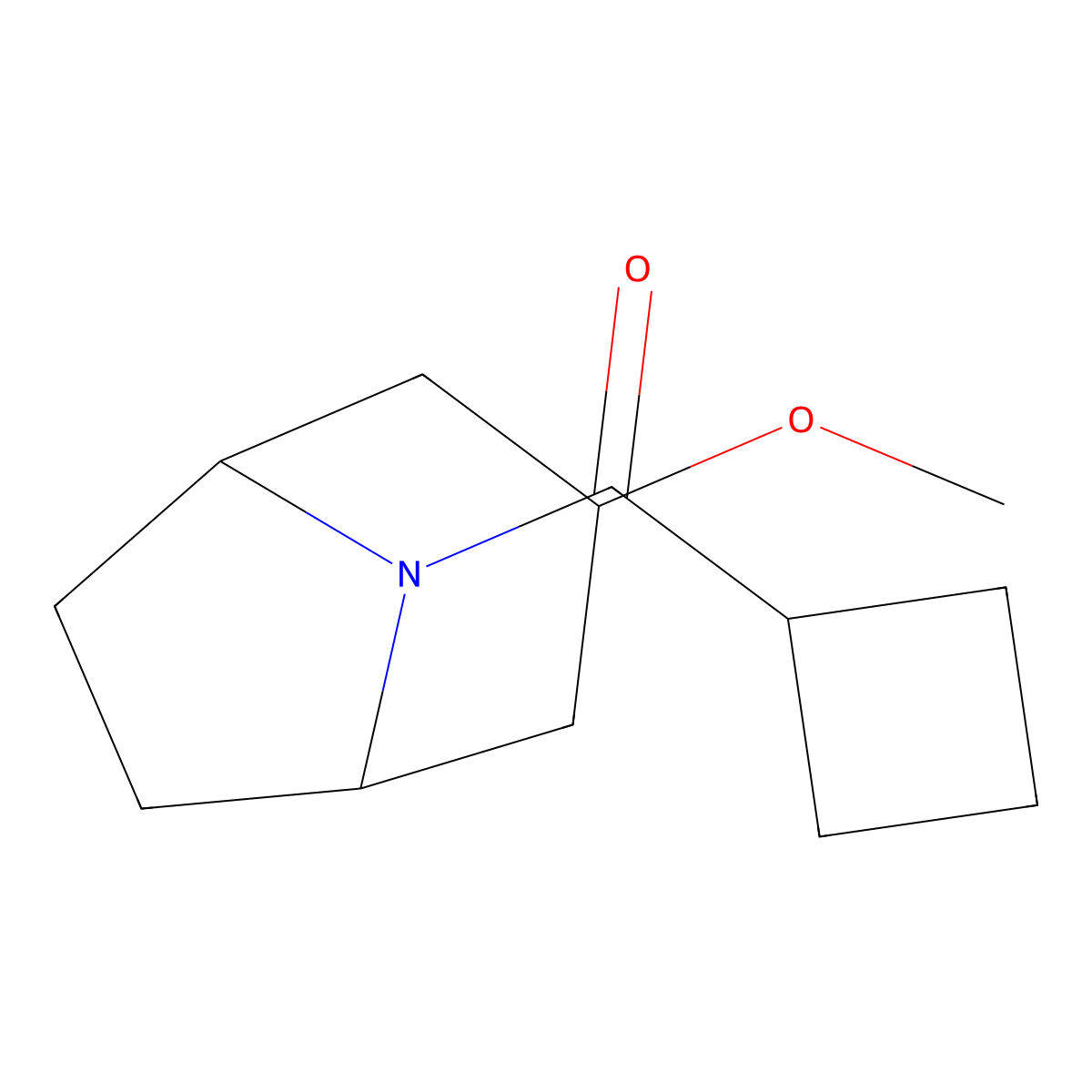 cyclobutyl((1R,5S)-3-methoxy-8-azabicyclo[3.2.1]octan-8-yl)methanone molecular structure, CAS 2309552-62-1