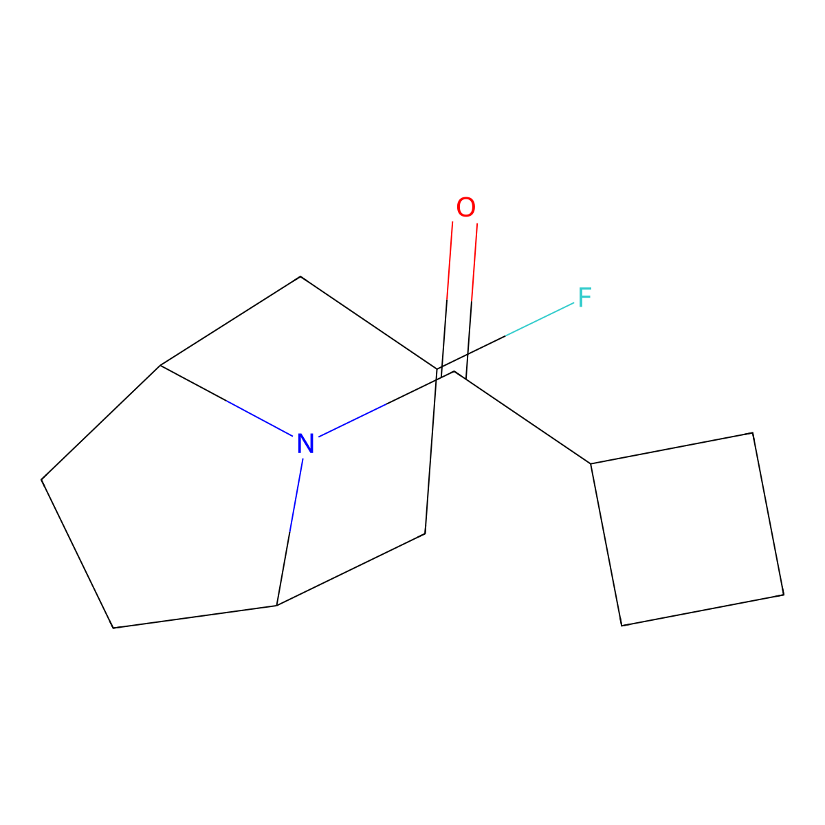 8-Cyclobutanecarbonyl-3-fluoro-8-azabicyclo[3.2.1]octane molecular structure, CAS 2309554-22-9