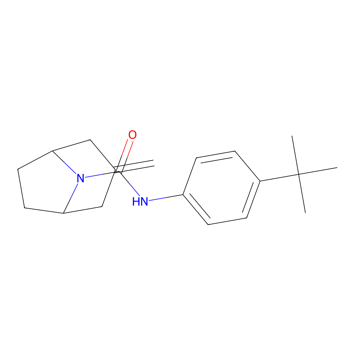 N-(4-Tert-butylphenyl)-3-methylidene-8-azabicyclo[3.2.1]octane-8-carboxamide molecular structure, CAS 2309749-66-2
